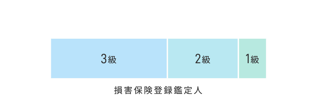 資格構成グラフ